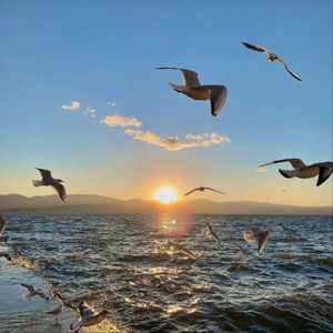 吴敏婚纱三部曲观看顺序
